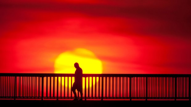 Seltering: Sydney may get its warmest November day in at least four years on Friday.