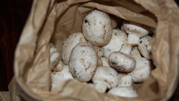 Mushroom workers in Queensland were allegedly underpaid more than $645,000.