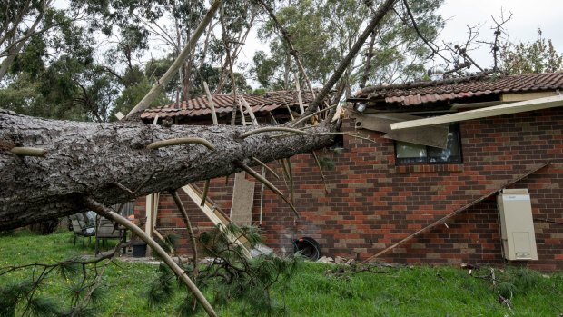A neighbour's tree fell on this house in Boronia.