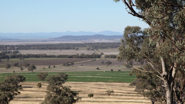 Liverpool Plains are home to some of Australia's - if not the world's - richest soil.