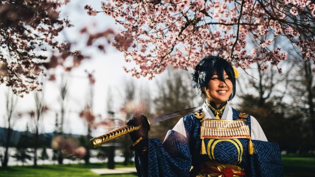 Kitchan Pon of Franklin, dressed as anime character Mikazuki Munechika, amongst blossoms in Lennox Gardens. Canberrans should make the most of sunny days in spring as there'll likely be more wet ones than usual.
