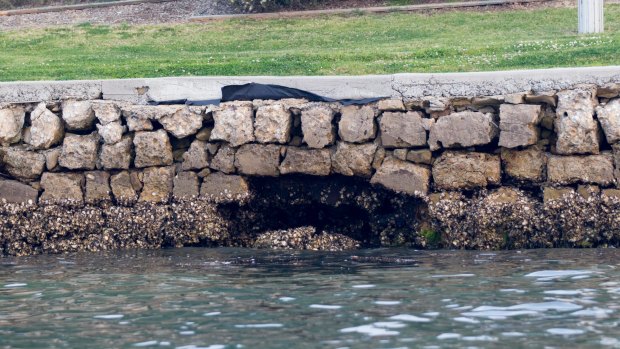 100-year-old seawalls along the Parramatta River are struggling to cope with wash from RiverCat ferries.