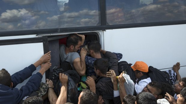 Migrants who crossed the Serbian border into Hungary fight to get on a bus.