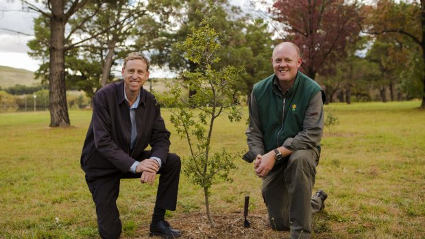 Assistant manager property and services of Government House Norm Dunn  and Government House grounds co-ordinator Andrew Thompson with a Quercus calliprinos.