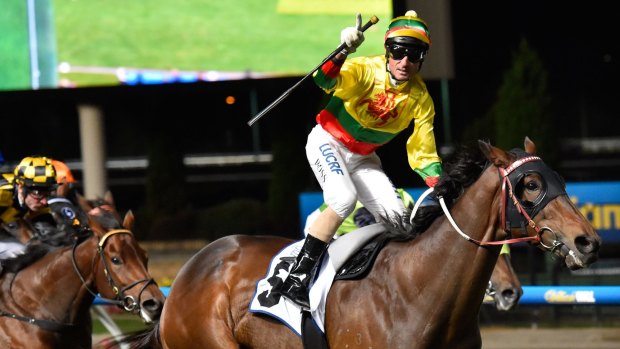 Lucky Hussler, with Glenn Boss aboard, after the William Reid Stakes in March.