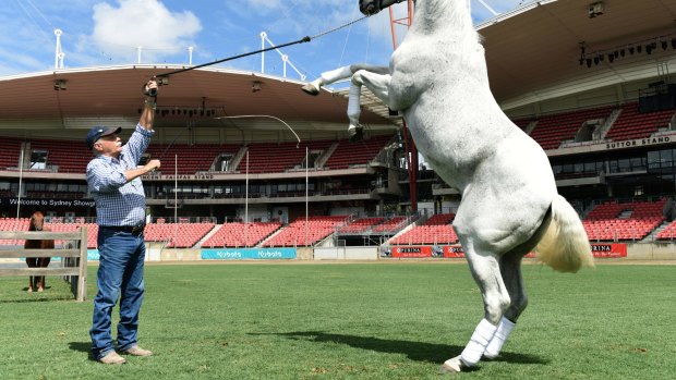 Horse trainer Heath Harris saved Okkie from becoming dog meat. He is now one of the equine stars of the The Man From Snowy River show at this year's Sydney Royal Easter Show opening on March 17.