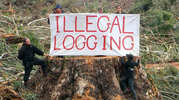 Environmental activists in East Gippsland.