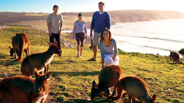 Kangaroo Island, South Australia. Domestic tourism is likely to drive the travel industry's recovery.