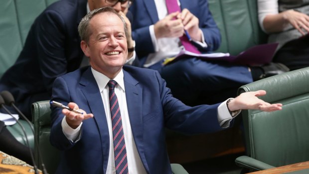 Opposition Leader Bill Shorten: His ascension has sometimes seemed inevitable, if not necessarily deserved.