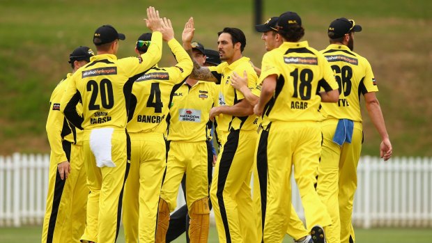 Well done: Mitchell Johnson celebrates dismissing Charlie Hemphrey during the Matador Cup match between Western Australia and Queensland at Drummoyne Oval.