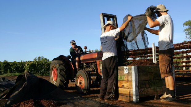 There was an increase of nearly 60,000 in the labour force, pushing the jobless rate down from 6.2 per cent to 5.9 per cent.