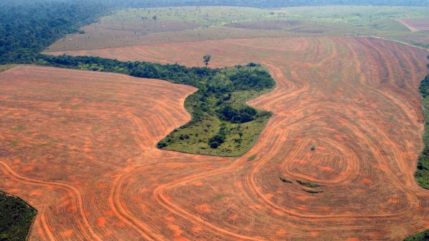 Aerial view of an area deforestated by soybean farmers in Novo Progreso, Para, Brazil, in 2004.