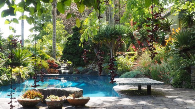 The pool area at Ayrlies garden in New Zealand is intimate and calm but also lively and vibrant.