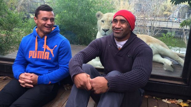Canterbury's Sam Perrett and Raider Sia Soliola at Canberra zoo on Monday.