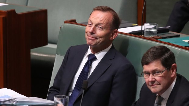 Former prime minister Tony Abbott during question time on Tuesday.