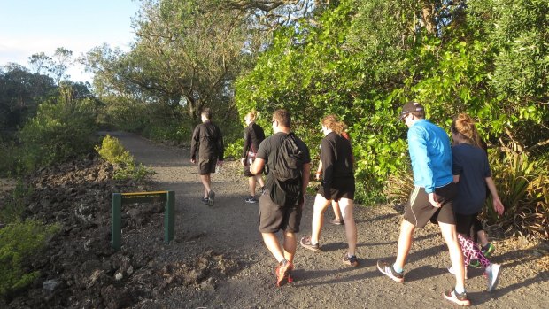 Hikers trek to the summit of Rangitoto Island.