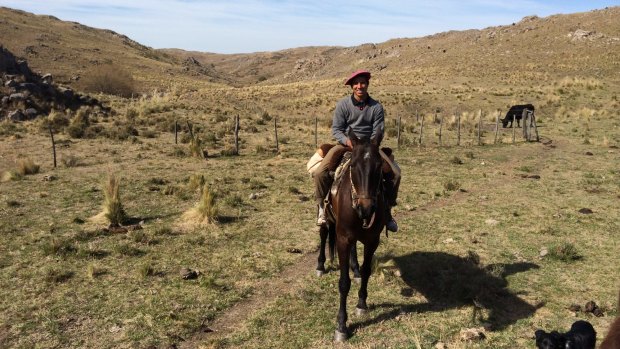 Gaucho Pablo on his horse, Los Potreros, Argentina.
