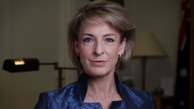 Employment Minister Michaelia Cash failed to declare a mortgage on a $1.4 million investment property.