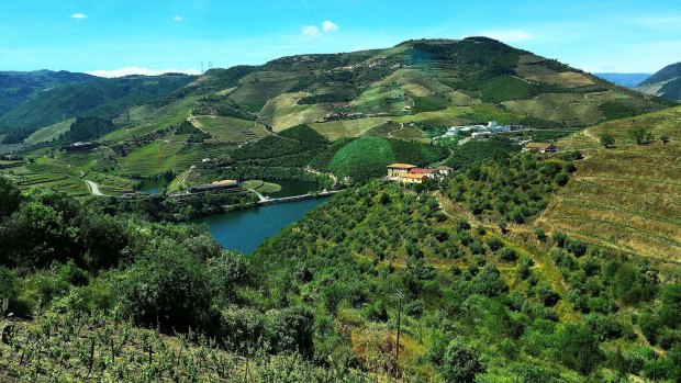 The Douro Valley.
