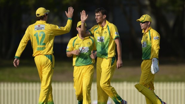 Gaining experience: Matt Dixon of the Cricket Australia XI celebrates after taking the wicket of Tasmanian batsman Evan Gulbis.