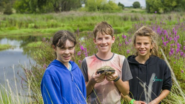 Anouk Maconachie 12, Charlie York 12 with Murtle the turtle, and Lillian Burless 12, in Canberra's Jerrabomberra Wetlands.