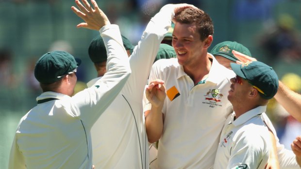 Chance to shine: Josh Hazlewood could be one of Australia's key players in New Zealand.