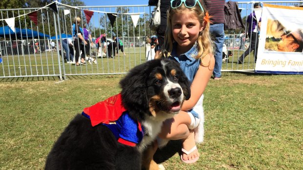 Dogs of all shapes and sizes congregated at the All Dogs Sports Spectacular on Sunday - even Superdog flew in.