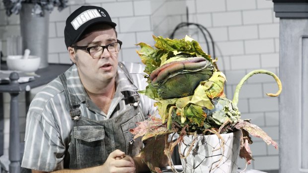 Brent Hill in <i>Little Shop of Horrors</i>, which starts on July 20. 
