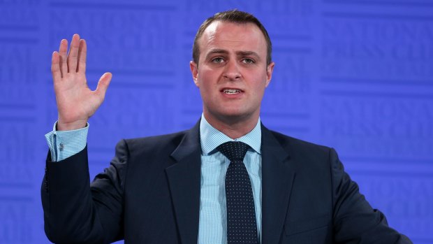 Human Rights Commissioner Tim Wilson addresses the National Press Club of Australia on Wednesday.