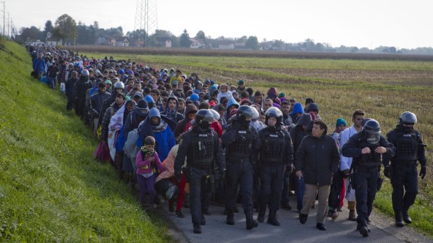 Migrants and refugees are escorted by police after crossing into Slovenia from Croatia.