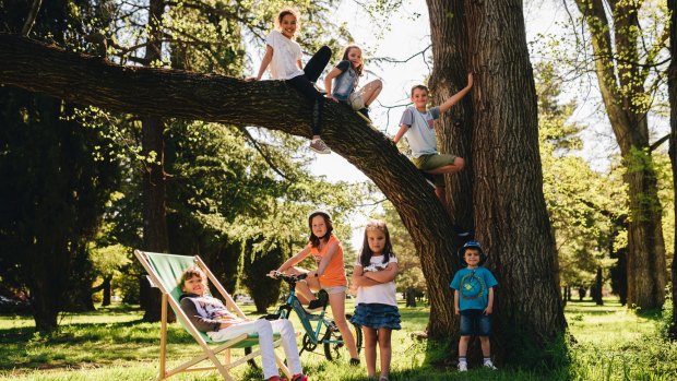 Eden Seck, 10, Emily Bodman, 7, and Harry Bodman, 9 (in tree), and Miriama Seck, 8, Lillian Hogan, 7, Holly Bodman, 4, and  James Horner, 6, in Haig Park in Braddon.