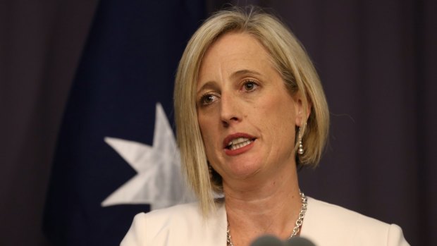 Please explain: shadow small business minister Katy Gallagher.