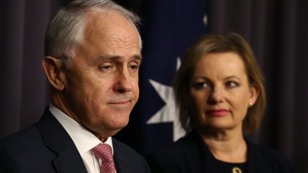 The federal government's Health Care Homes trial – announced in the May budget by Prime Minister Malcolm Turnbull and Health Minister Sussan Ley – is the target of a radical plan to transform Medicare.