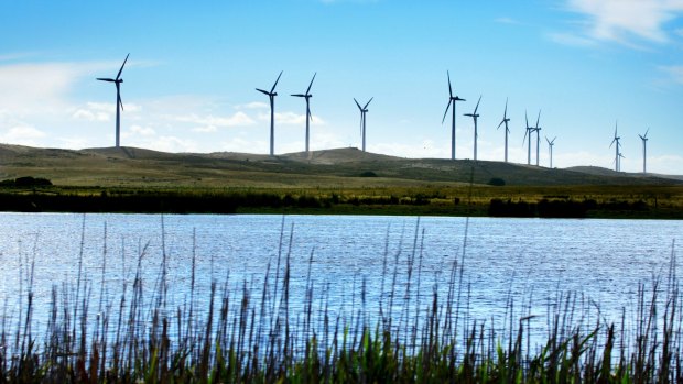 Prime Minister Tony Abbott believes wind farms are 'visually awful' and cause health problems.