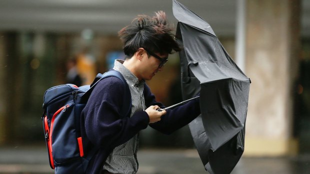 Enjoy today's sunshine, because rain is set to roll into Sydney by Wednesday.