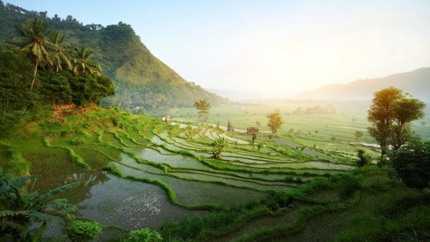 Get out of the main tourist areas and see Bali's World Heritage-listed rice terraces.