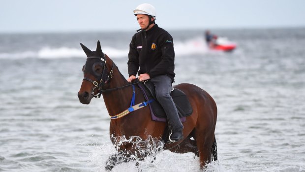 Ben Cadden riding Winx in the shallow waters of Altona beach.