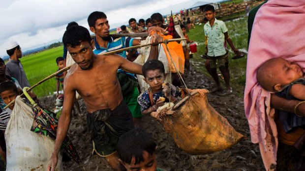 Rohingya Muslims walk through rice fields after crossing over to Bangladesh on Friday.