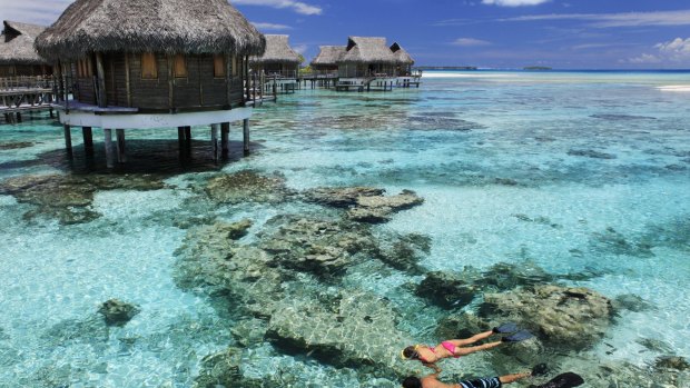 The warm, high-visibility waters around the Tikehau coral reefs host an astonishing variety of fish.