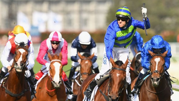 Put to the test: Caulfield Cup winner Jameka will have to set a record to win the Melbourne Cup. 