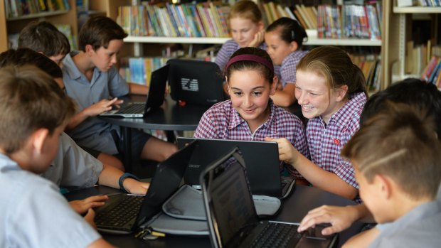 NAPLAN figures circulated among the education community offer a better than usual insight.