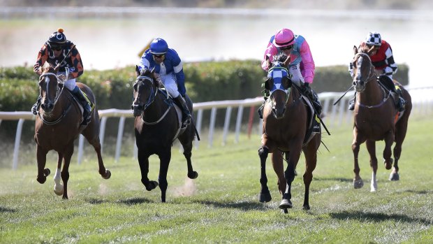 Jockey Brendan Ward, second from right, riding Basilus to victory in race four at Queanbeyan.