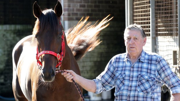 New lease of life: Darci Be Good with former trainer Bede Murray. 