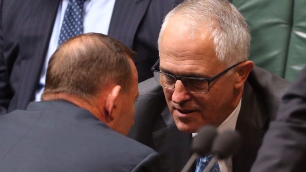 Prime Minister Tony Abbott and Communications Minister Malcolm Turnbull.