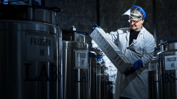 Professor Simon Easteal removes biological samples from a liquid nitrogen freezer at the John Curtin School of Medical Research at the ANU.

