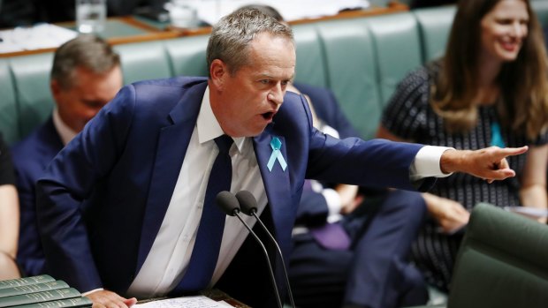 Opposition Leader Bill Shorten during question time on Wednesday.