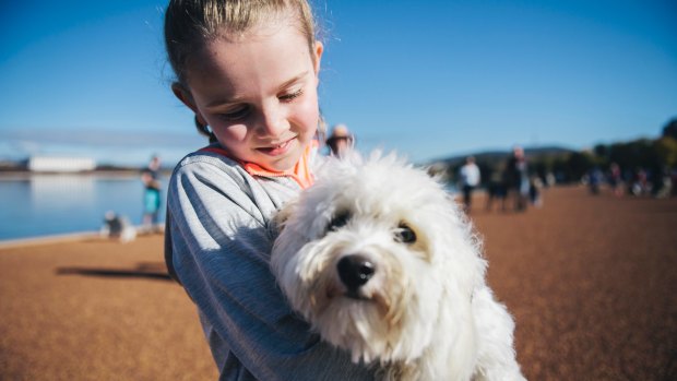 The RSPCA Million Paws walk on Sunday morning at Rond Terrace. Ava Polgase-Bulley, 8, of Forrest with her dog Snowy.