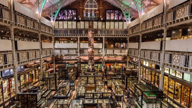 Mind-boggling museum contains objects you won’t believe