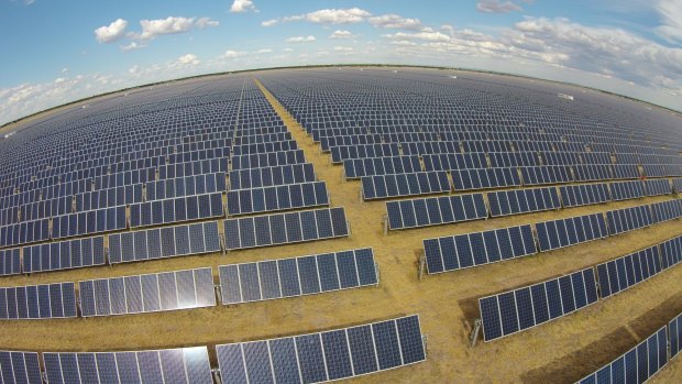 Sun power: The Moree solar farm in NSW.