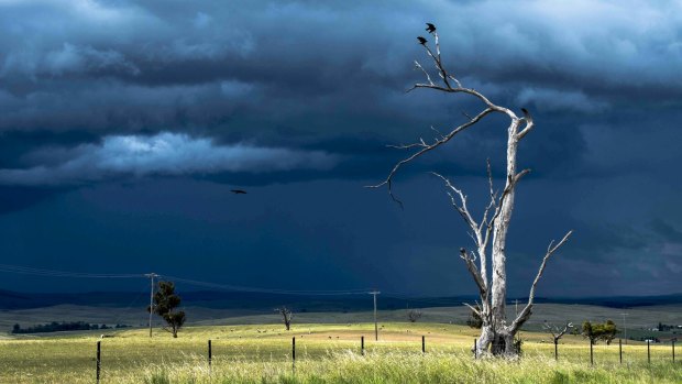 Severe storms are forecast for much of WA's south and east.